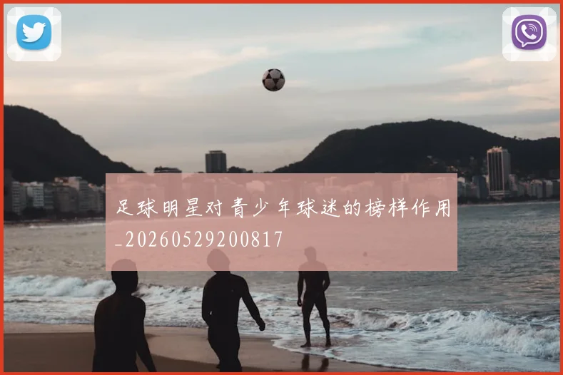足球明星对青少年球迷的榜样作用_20260529200817