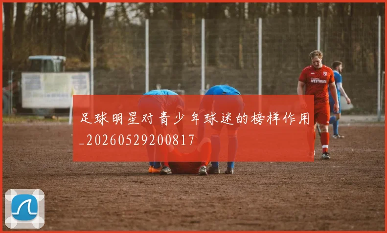 足球明星对青少年球迷的榜样作用_20260529200817